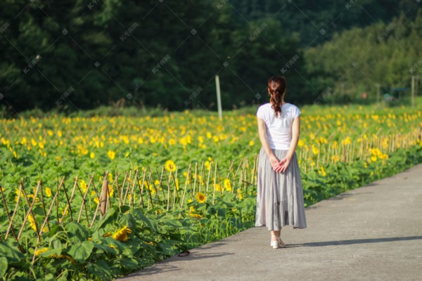 茶香袅袅东湖边，武汉人周末喝茶盛况空前